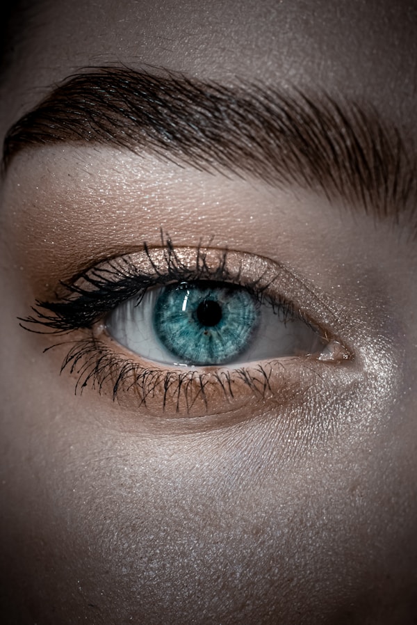 Close-up van een oog met een volle, verzorgde wenkbrauw